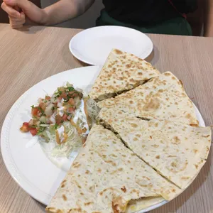 치코 사진
