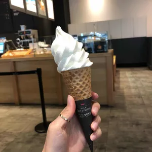 폴바셋 사진