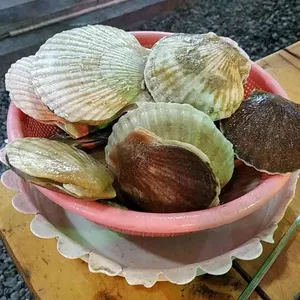 황금산 가리비 사진