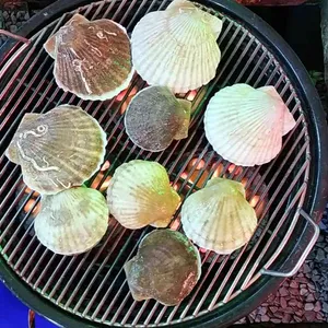 황금산 가리비 사진