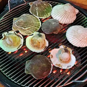 황금산 가리비 사진