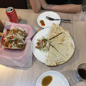 치코 사진