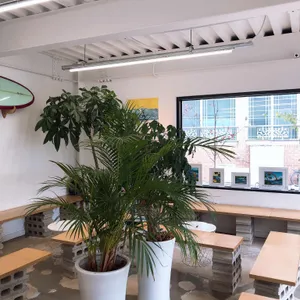 서퍼스파라다이스 대표 사진