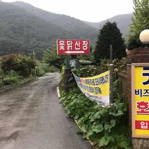 옻닭산장 사진