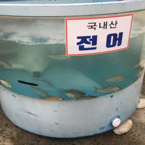 서해수산 리뷰 사진