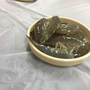 서해수산 사진