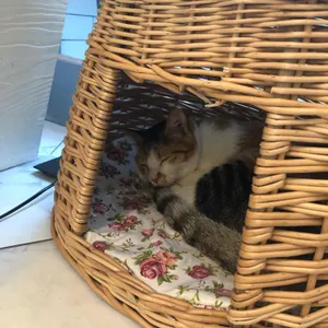 데이데이카페 리뷰 사진