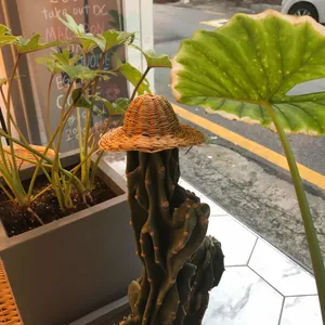데이데이카페 리뷰 사진