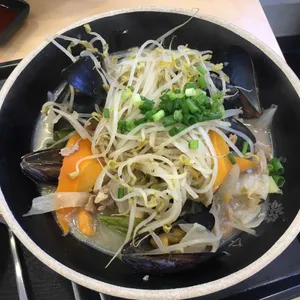국수나무 사진