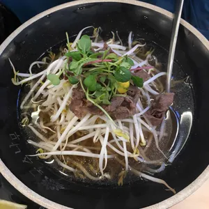국수나무 사진
