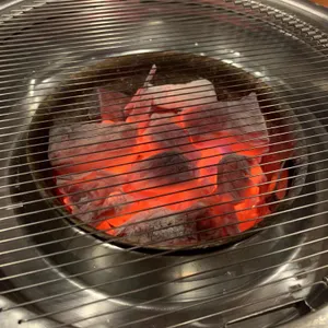 마야양고기 사진