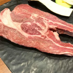 마야양고기 사진