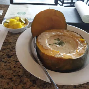 닥터로빈 사진
