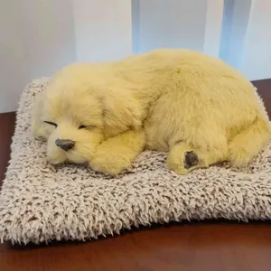 블루아일 리뷰 사진