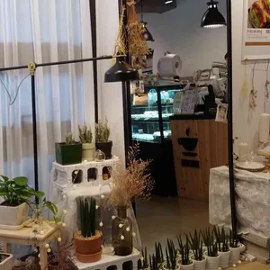 블루아일 리뷰 사진