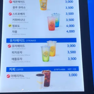 앤티앤스 리뷰 사진