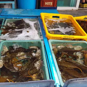 유화초 전복죽 리뷰 사진