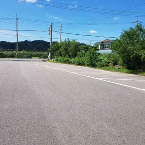 순희 보리밥 리뷰 사진