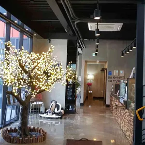 제이드826 커피 대표 사진