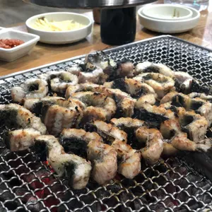 싱싱장어 사진