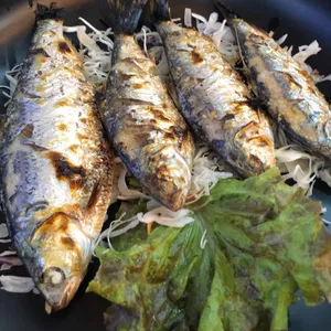 81회수산 사진