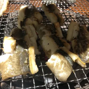 두어마리 사진