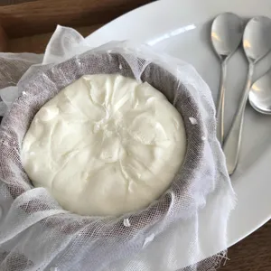 백일몽 사진