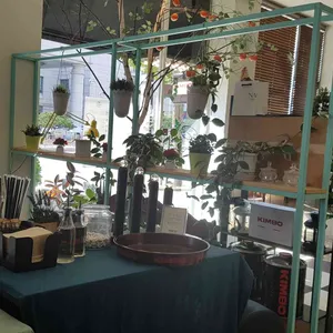 페스토 리뷰 사진