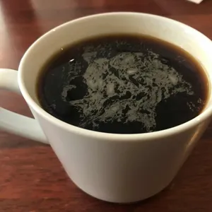 페스토 사진
