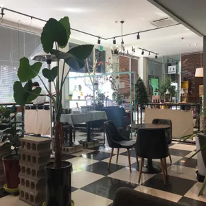 페스토 리뷰 사진