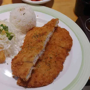 국수나무 사진