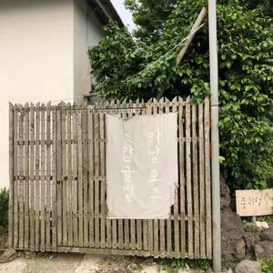 아날로그감귤밭 리뷰 사진