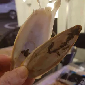 브루웍스  사진
