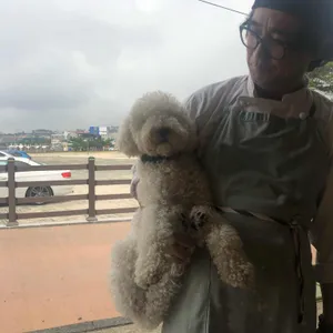 심바카레 리뷰 사진
