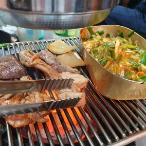 맘보갈매기 사진