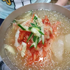 맘보갈매기 사진