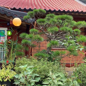 황토집사람들 리뷰 사진