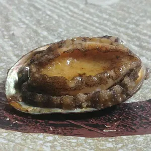 대복횟집 리뷰 사진
