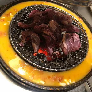 신마포갈매기 사진