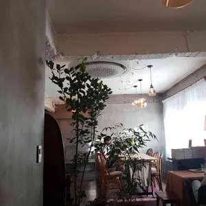 cafe slowly 리뷰 사진