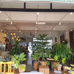 판썸 by 인썸니악 리뷰 사진