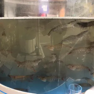 뉴서울횟집 리뷰 사진