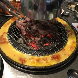 신마포갈매기 사진