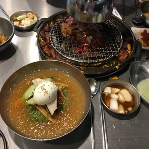 신마포갈매기 사진