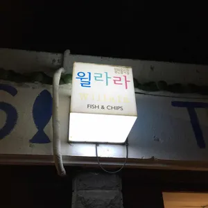 윌라라 리뷰 사진