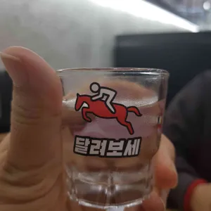 마라천하 사진