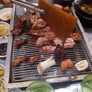가보리살 사진