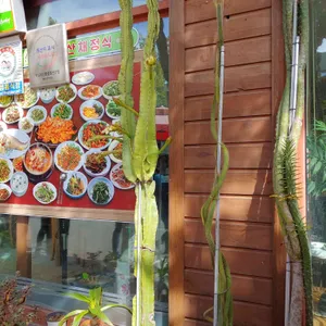 중앙식당 리뷰 사진