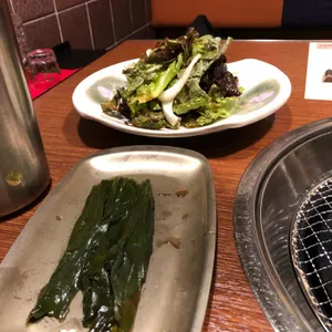흙향 사진