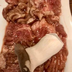 가원 사진